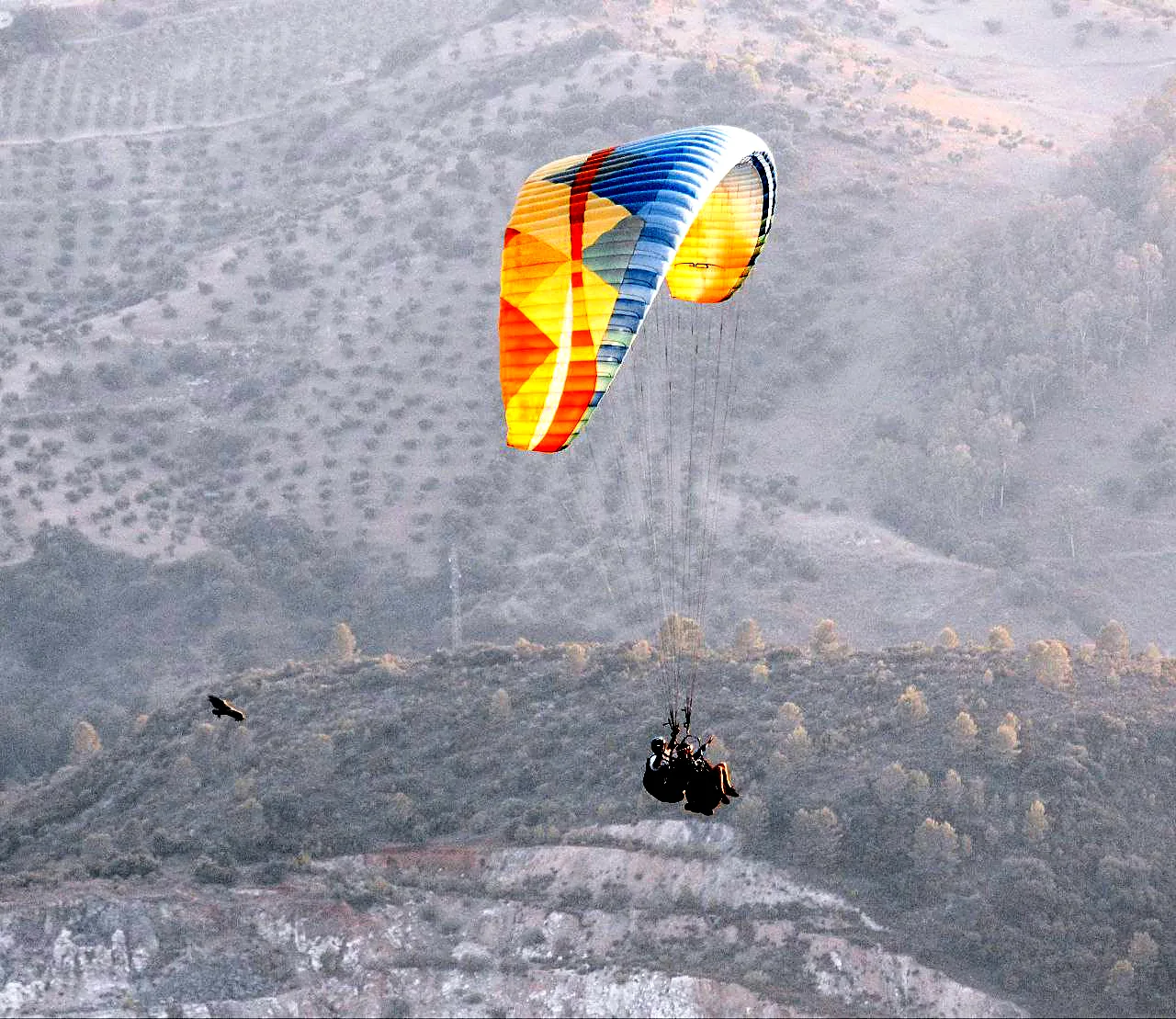 Parapente de colores sobre un olivar de la sierra